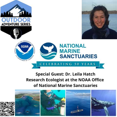 Dr. Leila Hatch, Research Ecologist at the NOAA Office of National Marine Sanctuaries