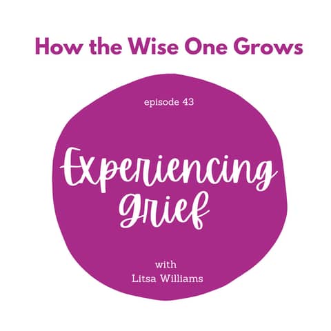 Experiencing Grief: Misconceptions, Types, and Healing Strategies with Therapist Litsa Williams (What's Your Grief) (43)