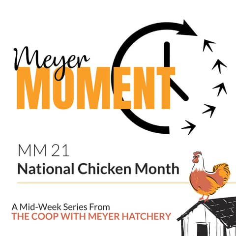 Meyer Moment: National Chicken Month!