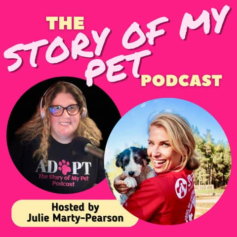 A Lifelong Passion for Animal Welfare: Working with SPCA International and the Patriot Pets Animal Reunification Program for Service Members