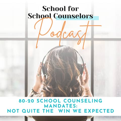 80-20 School Counseling Mandates: Not Quite the "Win" We Expected
