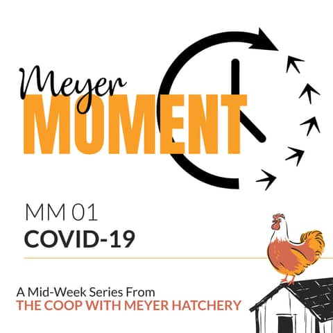 Meyer Moment: How To Care For Your Flocking During COVID-19