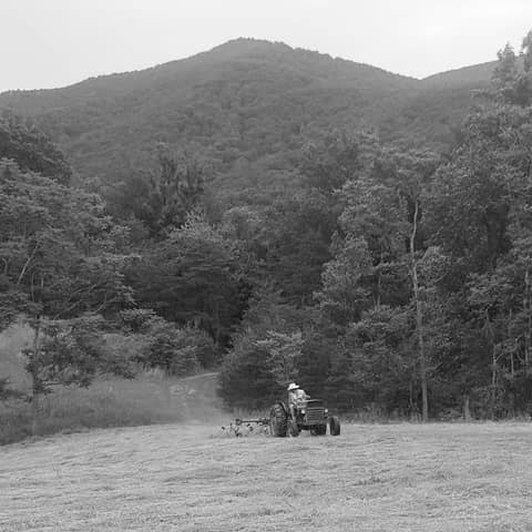 Appalachian Farmer: God-Given Food as Medicine with Thad and Gayle Montgomery