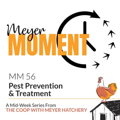 Meyer Moment: Pest Prevention & Treatment