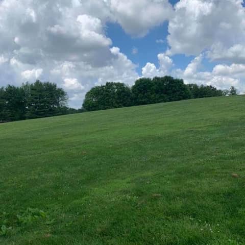 Changing Hearts and Minds To GROW; Happiness is within