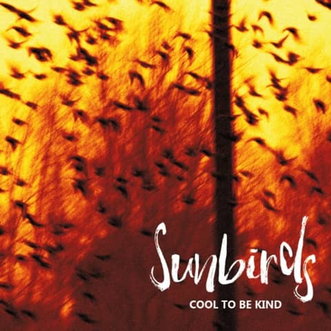 Sunbirds - The Dave Hemingway and Phil Barton Interview