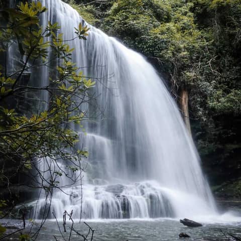 Gorges State Park with Kevin Bischof, Park Superintendent