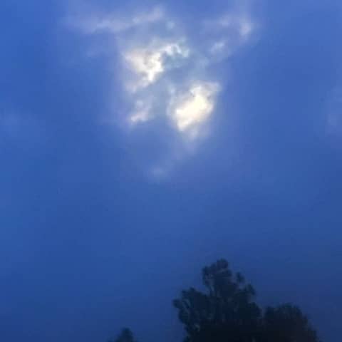 Creative Consciousness; Life is a Creation of our Minds; Sow Love, GROW, create something Beautiful