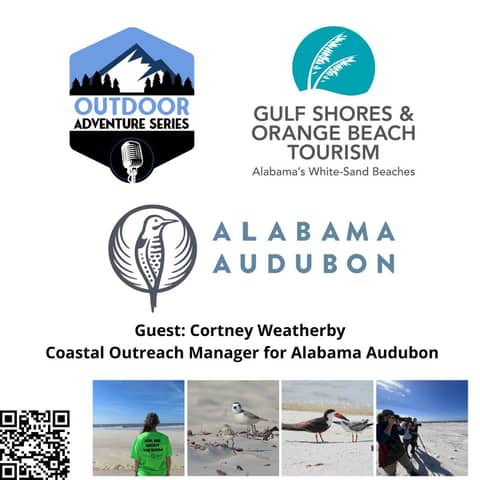 From Marine Biology to Birding: The Journey of Cortney Weatherby, Coastal Outreach Manager for Alabama Audubon