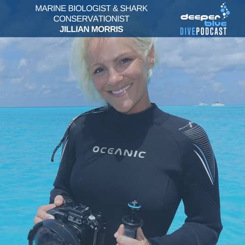 Jillian Morris on the magic of a birthing shark in Bimini, and Autumn Blum on how to handle "dive-hair"