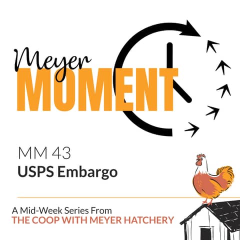 Meyer Moment: USPS Embargo