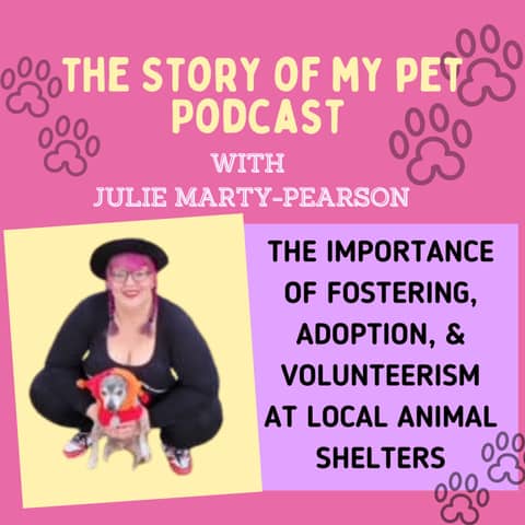 Fostering, Adoption, and Volunteerism at Local Animal Shelters