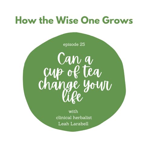 Can a cup of tea change your life? with clinical herbalist Leah Larabell (25)