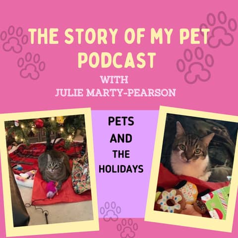 Pets and the Holidays