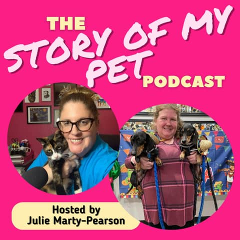 Embracing the Joys and Challenges of Senior Pet Adoption