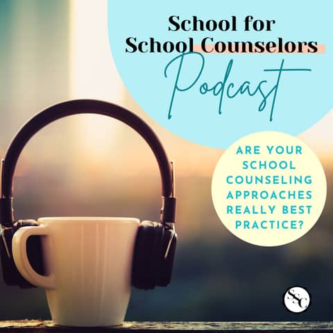 Are Your School Counseling Approaches Really Best Practice?