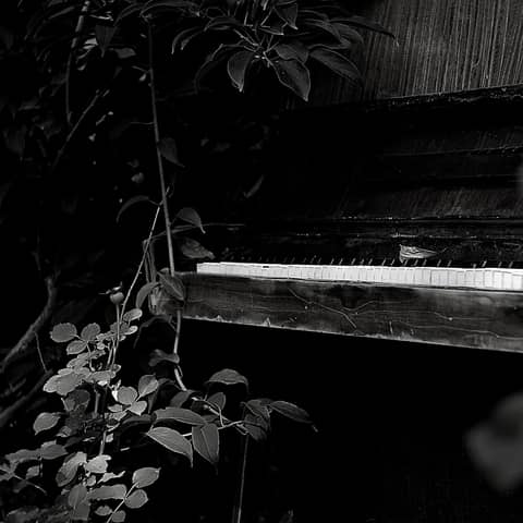 Linear Improvisation, 1