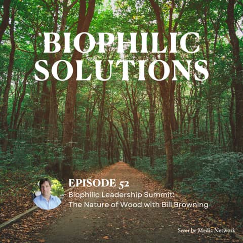 Biophilic Leadership Summit: The Nature of Wood with Bill Browning