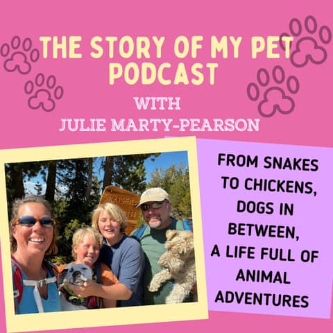 A Life Full of Animal Adventures