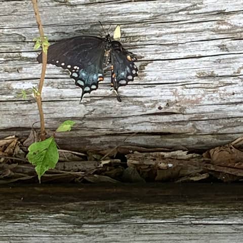 We are Judged by the Heart not the Wallet We are Judged by the Heart not the Wallet