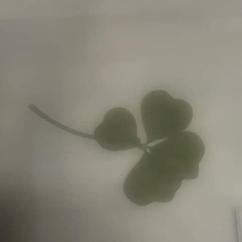 Negative and Positive equals Positive; Change your reaction then you Change your World