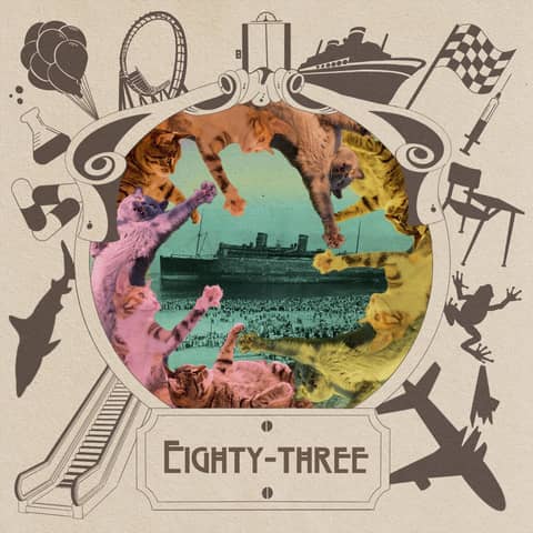 The Pigeon to Uber Scale: Cruise Ship Incidents