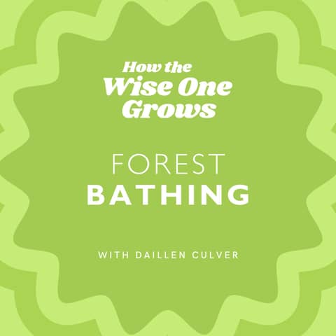 [FLASHBACK] How Forest Bathing Can Ease Your Climate Distress and Anxiety with Daillen Culver