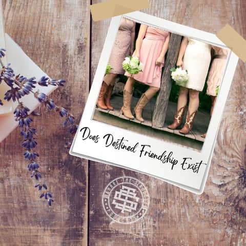 Does destined friendship exist? 145