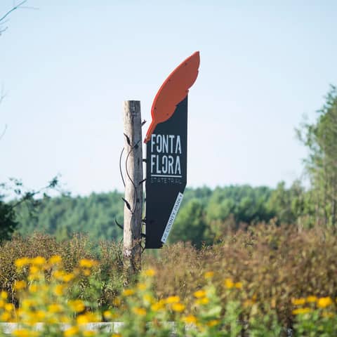Fonta Flora State Trail: Connecting Mountains, Waterways & Main Streets From Morganton to Asheville