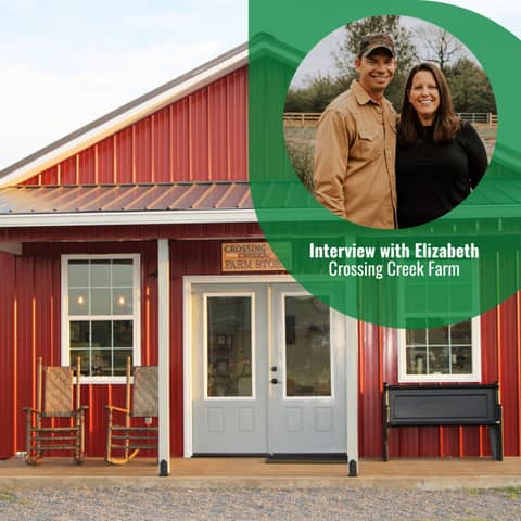 Meat shortages, now what? Interview with Meyer Hatchery Ambassador Crossing Creeks Farm. Part 3 of 3 Part Series