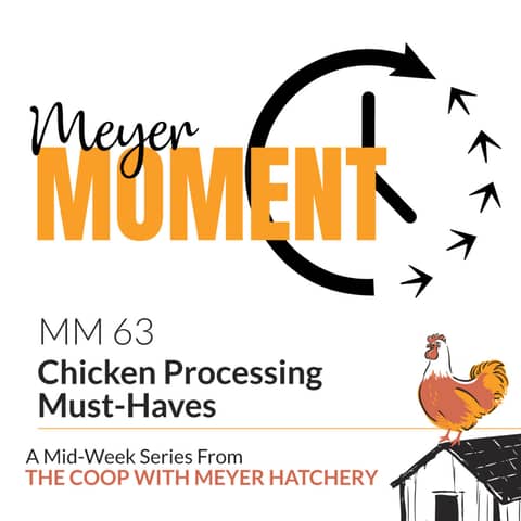Meyer Moment: Chicken Processing Must-Haves