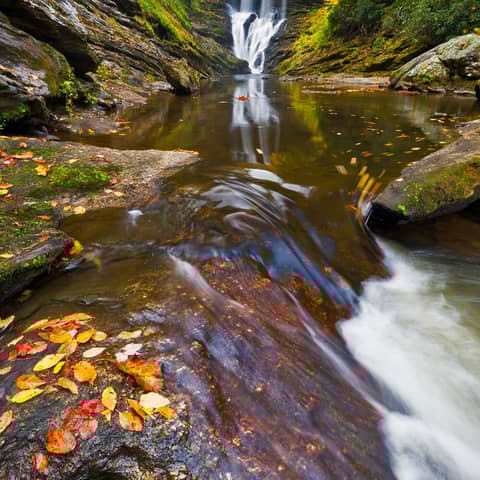 North Carolina Waterfalls & Waterfall Keepers of NC, with Kevin Adams