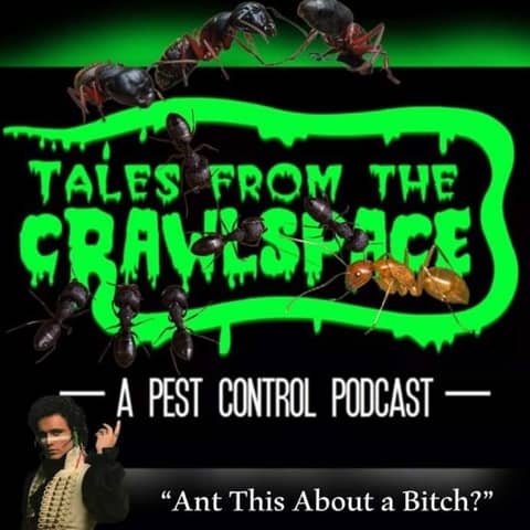 Ant This About A Bitch!