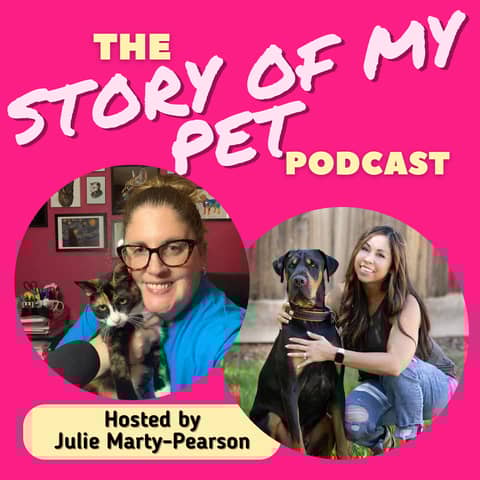 Pet Photography: A Powerful Tool for Animal Rescue and Adoption