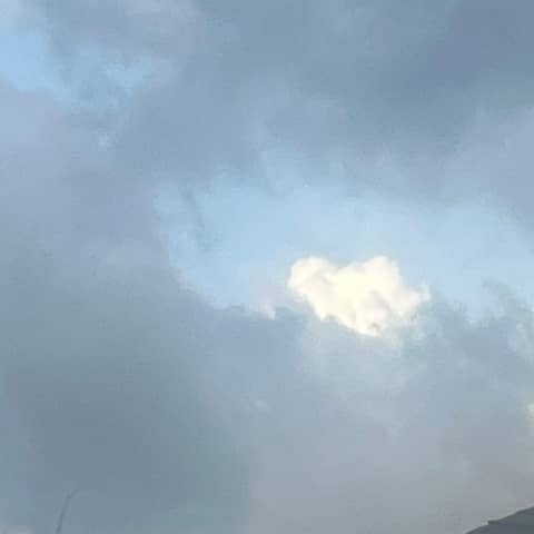 Up and over Oppression, here We GROW