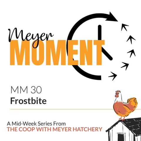 Meyer Moment: Frostbite