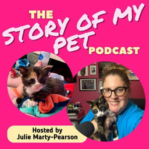 Fostering Kittens: A Story of Love, Heartbreak, and New Beginnings