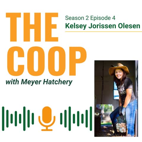 DIY A-Frame Chicken Tractors with Kelsey Jorissen Olesen of Green Willow Homestead