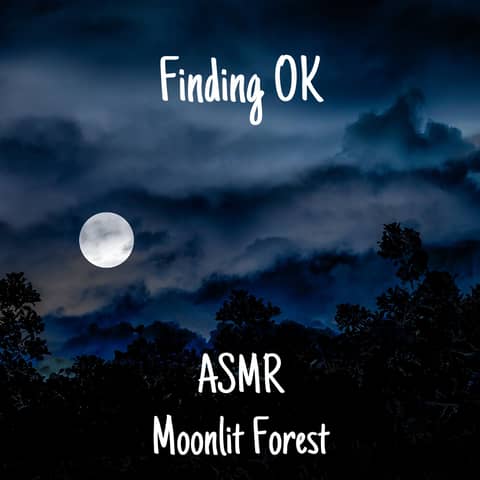 ASMR Moonlit Forest