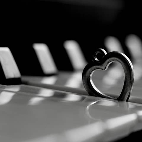 I've Never Been In Love Before