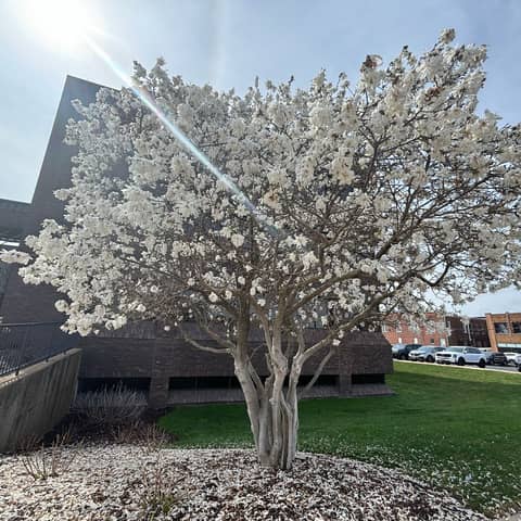 It has been a Journey to GROW; we ain’t done though, we still got Tomorrow