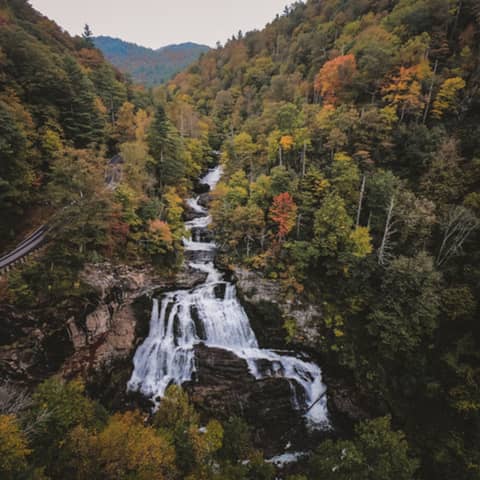 Mountain True: Championing resilient forests, clean waters, and healthy communities, with Josh Kelly