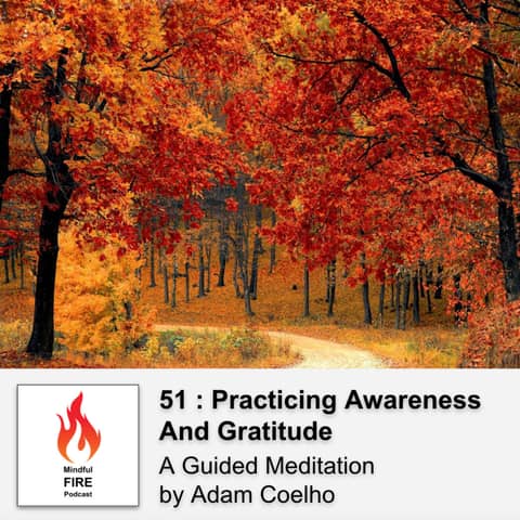 51 : Meditation : Practicing Awareness & Gratitude