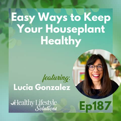 187: Easy Ways to Keep Your Houseplant Healthy with Lucia Gonzalez