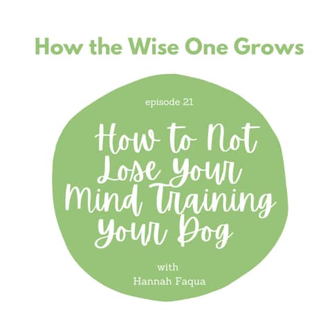 How to Not Lose Your Mind Training Your Dog with Hannah Faqua (21)