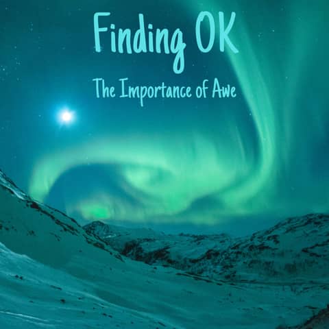 The Importance of Awe