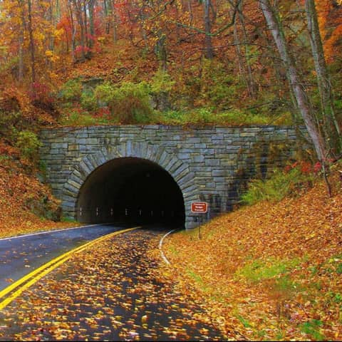 Blue Ridge Parkway: America's Favorite Scenic Drive, with Tubby Kubik (Executive Director, Blue Ridge Parkway Association)