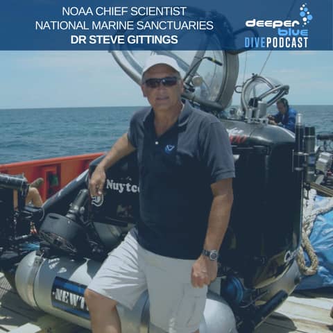 Dr Steve Gittings On The Incredible Magic Of Coral Spawning, and Dr Marah Hardt On The Meaning Behind Booking a Dive Trip