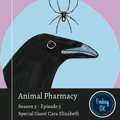 Animal Pharmacy