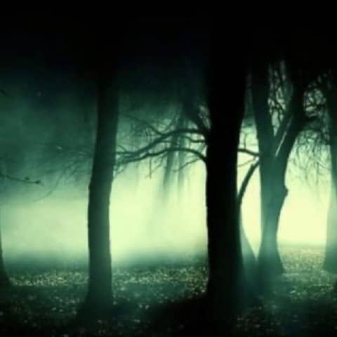 Halloween Special with Don and Kelly Johnson from Beyond the Dark Paranormal